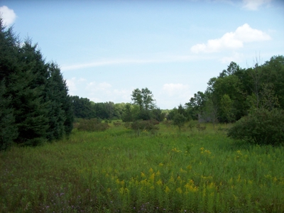 Trophy Whitetail Deer Hunting Property Columbia County WI - image 1