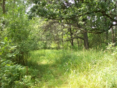 Trophy Whitetail Deer Hunting Property Columbia County WI - image 26
