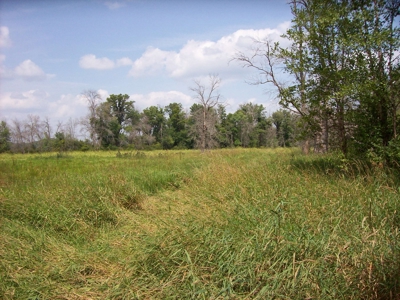 Trophy Whitetail Deer Hunting Property Columbia County WI - image 20