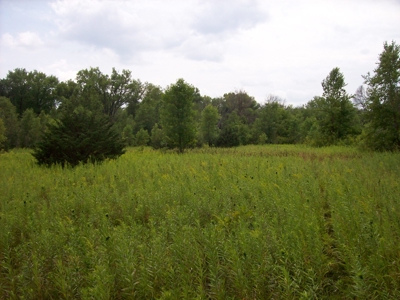 Trophy Whitetail Deer Hunting Property Columbia County WI - image 46