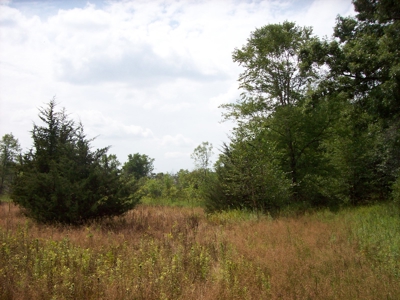 Trophy Whitetail Deer Hunting Property Columbia County WI - image 25