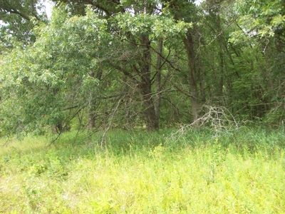 Trophy Whitetail Deer Hunting Property Columbia County WI - image 50