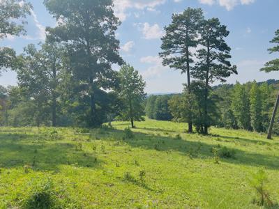 Country Home With Acreage In Melbourne, Arkansas - image 8