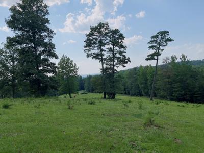 Country Home With Acreage In Melbourne, Arkansas - image 18