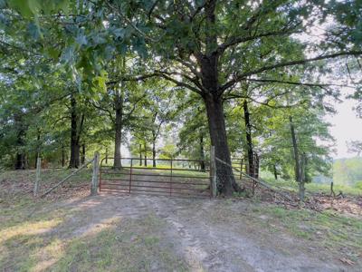 Country Home With Acreage In Melbourne, Arkansas - image 38