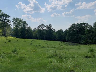 Country Home With Acreage In Melbourne, Arkansas - image 11