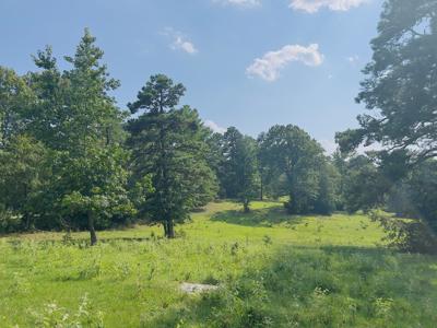 Country Home With Acreage In Melbourne, Arkansas - image 10