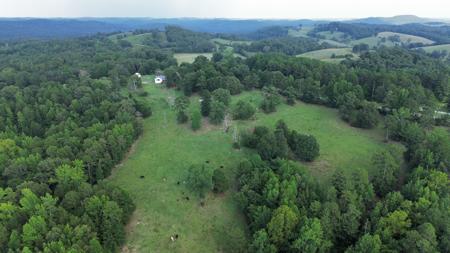 Country Home With Acreage In Melbourne, Arkansas - image 6