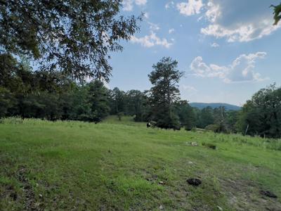 Country Home With Acreage In Melbourne, Arkansas - image 16