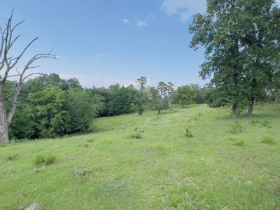 Country Home With Acreage In Melbourne, Arkansas - image 15