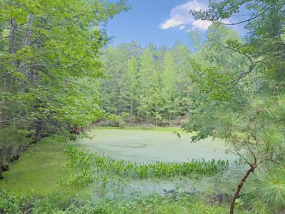 Country Home With Acreage In Melbourne, Arkansas - image 13