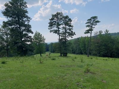 Country Home With Acreage In Melbourne, Arkansas - image 14