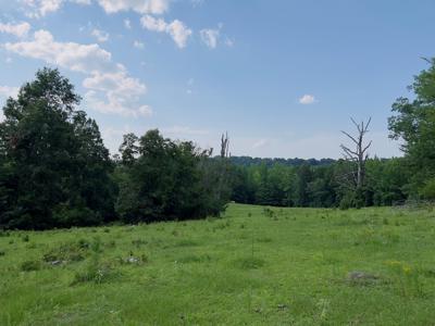 Country Home With Acreage In Melbourne, Arkansas - image 12