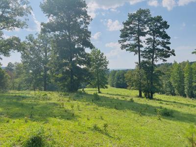 Country Home With Acreage In Melbourne, Arkansas - image 9