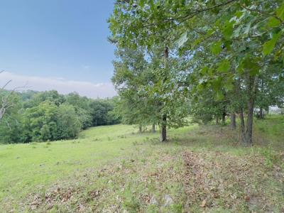 Country Home With Acreage In Melbourne, Arkansas - image 17