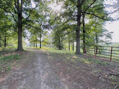 Country Home With Acreage In Melbourne, Arkansas - image 39