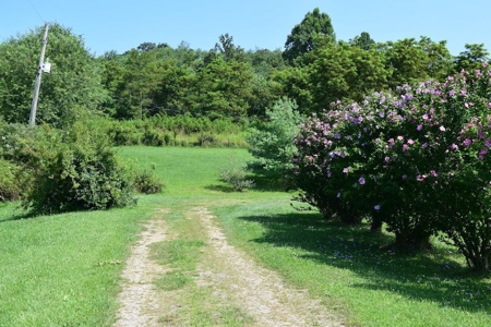 Country Home for Sale at Auction in Willis VA - image 5