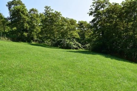 Country Home for Sale at Auction in Willis VA - image 13