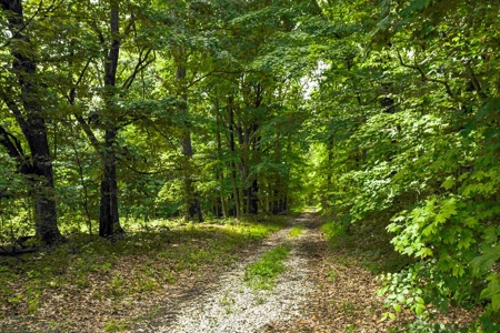 200± Acres and Country Home in Monroe County, Indiana - image 39