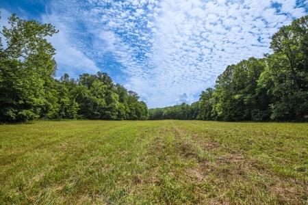 200± Acres and Country Home in Monroe County, Indiana - image 43