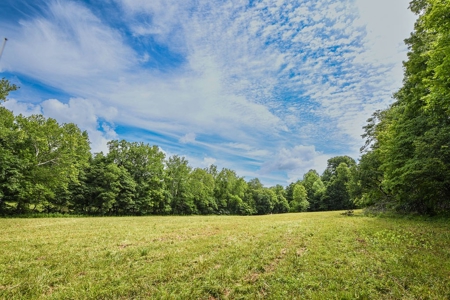 200± Acres and Country Home in Monroe County, Indiana - image 42