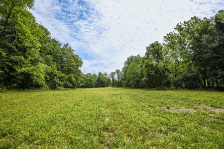 200± Acres and Country Home in Monroe County, Indiana - image 40