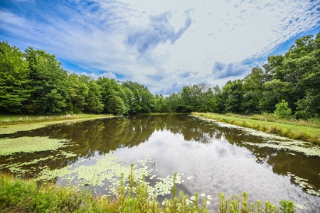 200± Acres and Country Home in Monroe County, Indiana - image 36
