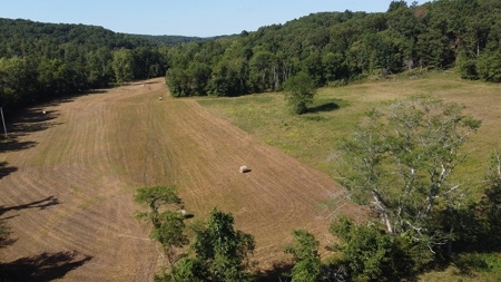 160 Aces Surrounded By Goverment Forest On 3 Sides With Home - image 2