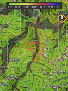 160 Aces Surrounded By Goverment Forest On 3 Sides With Home - image 3