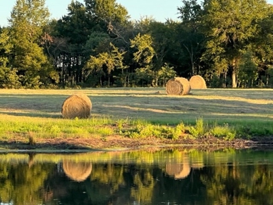 Lakefront Country Home with Acreage For Sale Reno TX - image 47