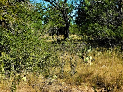 Lake Brownwood in Brownwood TX for Sale - image 2