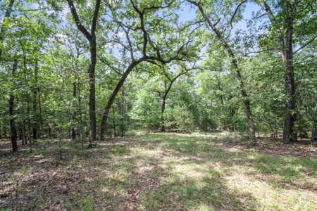 13 Acre Lake Front Property And Dock On Bull Shoals Lake - image 9