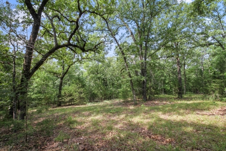 13 Acre Lake Front Property And Dock On Bull Shoals Lake - image 10