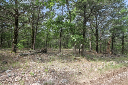 13 Acre Lake Front Property And Dock On Bull Shoals Lake - image 7