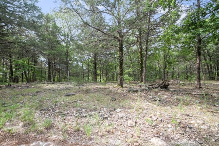 13 Acre Lake Front Property And Dock On Bull Shoals Lake - image 6