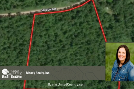 Land for Sale in Alton, Missouri - image 1