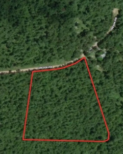 Land for Sale in Alton, Missouri - image 2