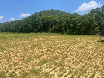 Home on 2.208+/- acres in Burkesville, Ky - image 26