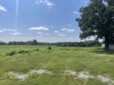 Country Home and Land for sale in Leoma Tn, near Nashville - image 3