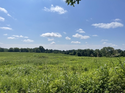 Country Home and Land for sale in Leoma Tn, near Nashville - image 4