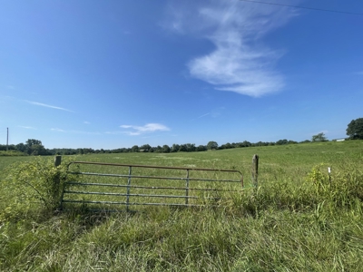 Country Home and Land for sale in Leoma Tn, near Nashville - image 21