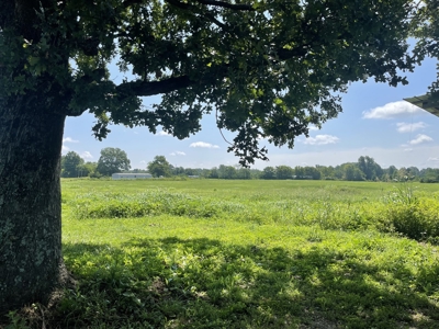 Country Home and Land for sale in Leoma Tn, near Nashville - image 2