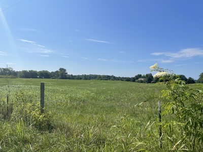 Country Home and Land for sale in Leoma Tn, near Nashville - image 23