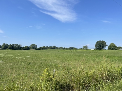 Country Home and Land for sale in Leoma Tn, near Nashville - image 22