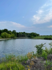 Gentry County Missouri CRP/Timber/Pond Excellent Hunting - image 10