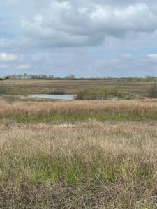 Gentry County Missouri CRP/Timber/Pond Excellent Hunting - image 8