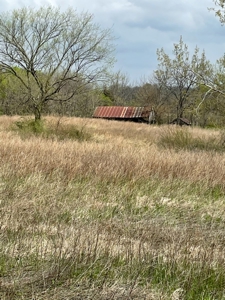 Gentry County Missouri CRP/Timber/Pond Excellent Hunting - image 6