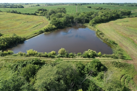 Gentry County Missouri CRP/Timber/Pond Excellent Hunting - image 17