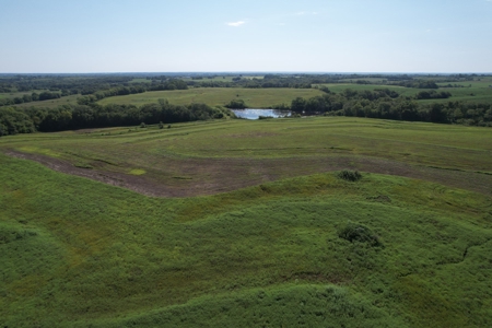 Gentry County Missouri CRP/Timber/Pond Excellent Hunting - image 14