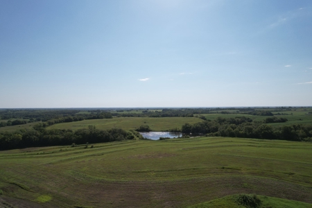 Gentry County Missouri CRP/Timber/Pond Excellent Hunting - image 11